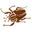 Creepy Crawly Chile