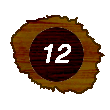 2009 Eclipse Plans